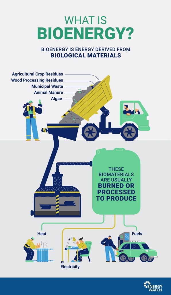 What Is Bioenergy & Why Are We Getting Excited About It? - Energy Watch ...